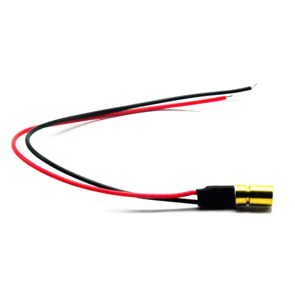 3/5/10 個ミニ 405nm 5mW ドットフォーカス可 - Industrial Blue Laser のレビューと価格
